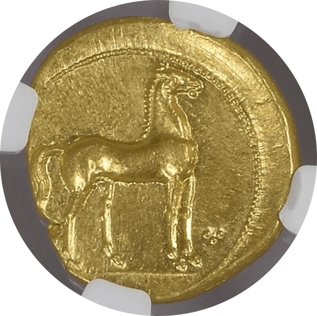 【MS 5/5 4/5】紀元前350年?320年 古代カルタゴ ゾイジターナ スターテル金貨(裏)