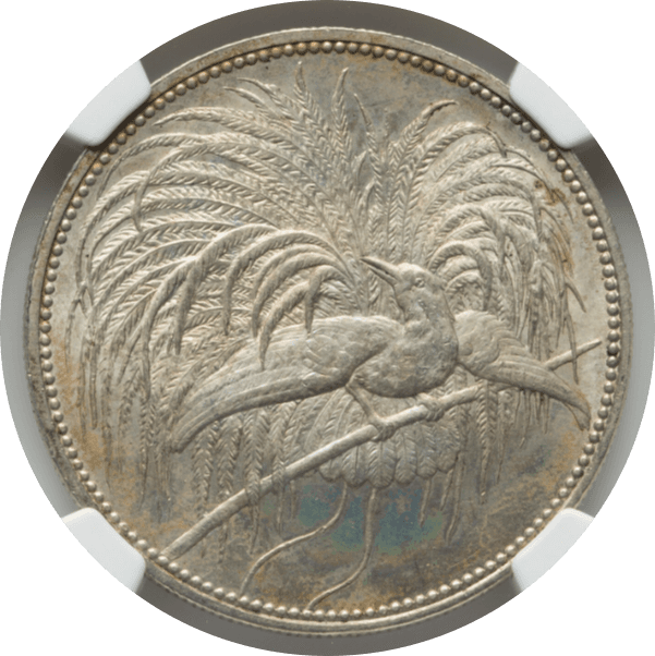 【MS65】1894年 ドイツ領ニューギニア  極楽鳥 5マルク銀貨(表)