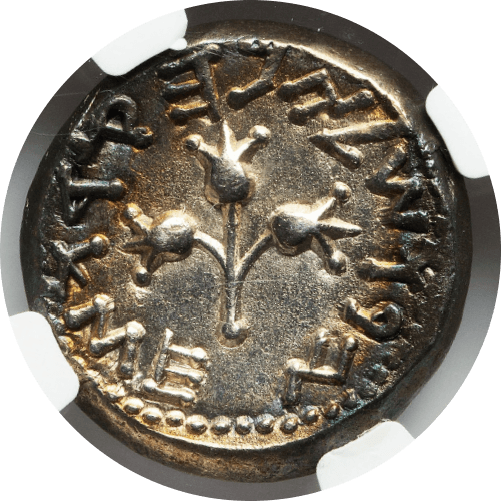 【MS 4/5 3/5】66年〜70年 古代イスラエル 第一次ユダヤ戦争 シェケル銀貨(裏)